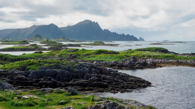 Observación de ballenas en Andenes