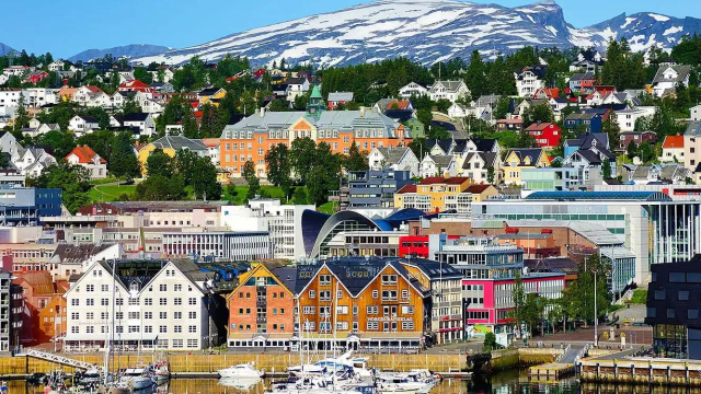 Observación de Ballenas en Tromsø