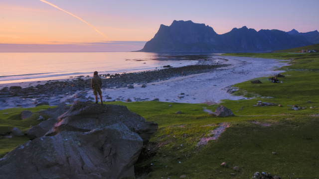 Observación de ballenas en Lofoten