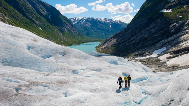 Nigardsbreen