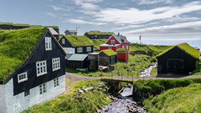 Birdwatching in Mykines