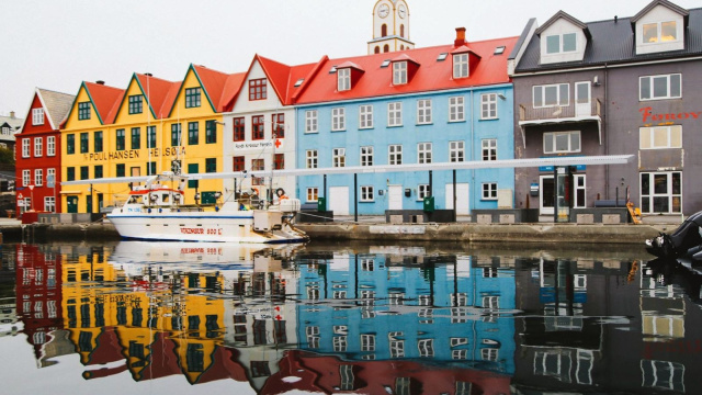 Birdwatching from Tórshavn