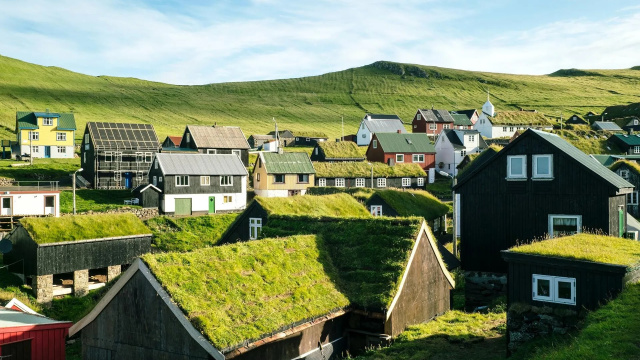 Birdwatching in Mykines