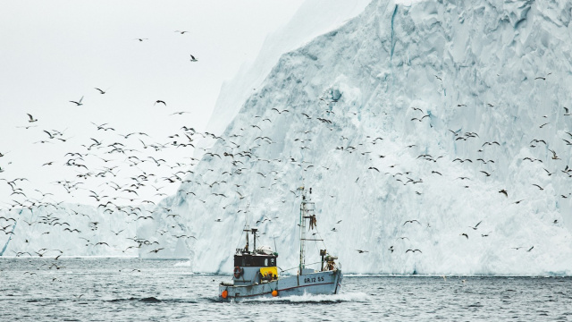 Disko Bay