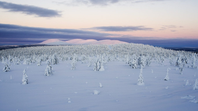 Parque Nacional de Pallas-Yllästunturi