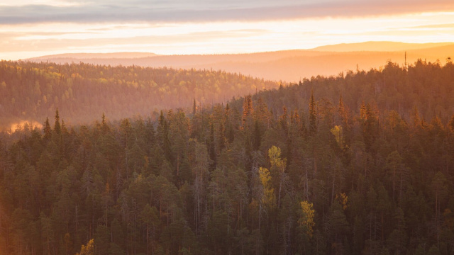 Parque Nacional de Oulanka