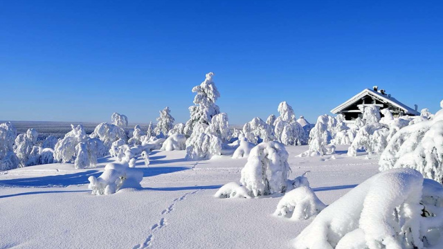 Sci di fondo a Saariselkä