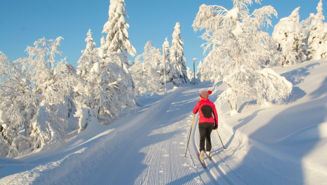 Esquí de fondo en Ruka-Kuusamo