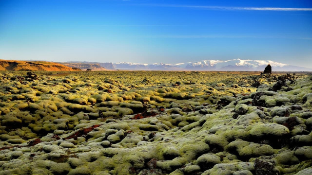 Passeggiata panoramica sulla lava verde