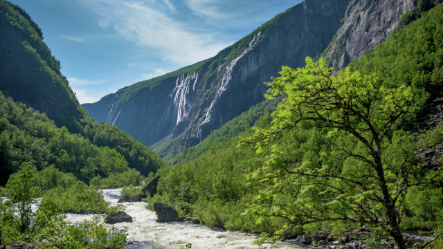 Hardangerfjord